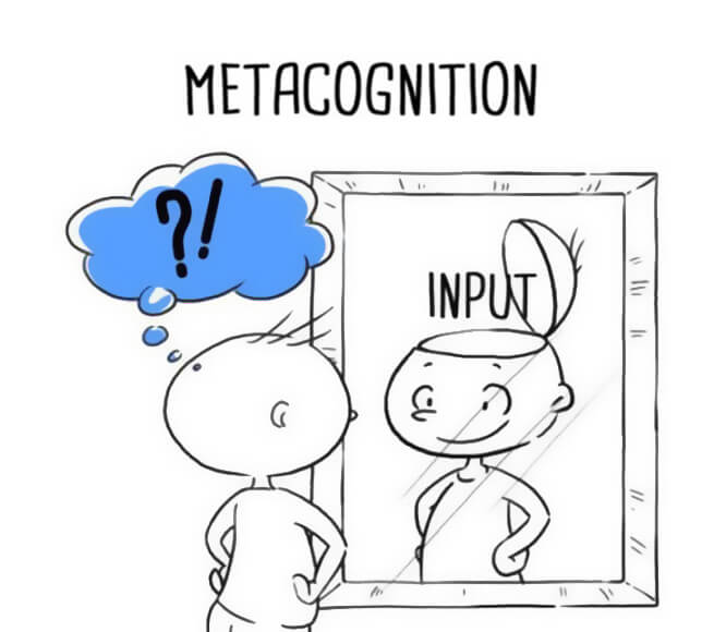 Principles Science Education - Metacognition
