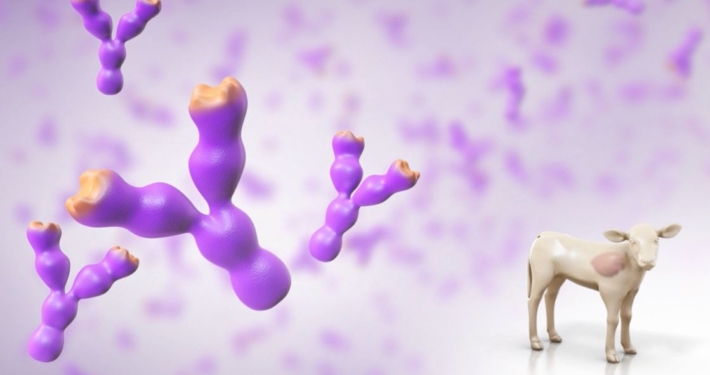 3D Calf Transparent 3D Calf Transparent