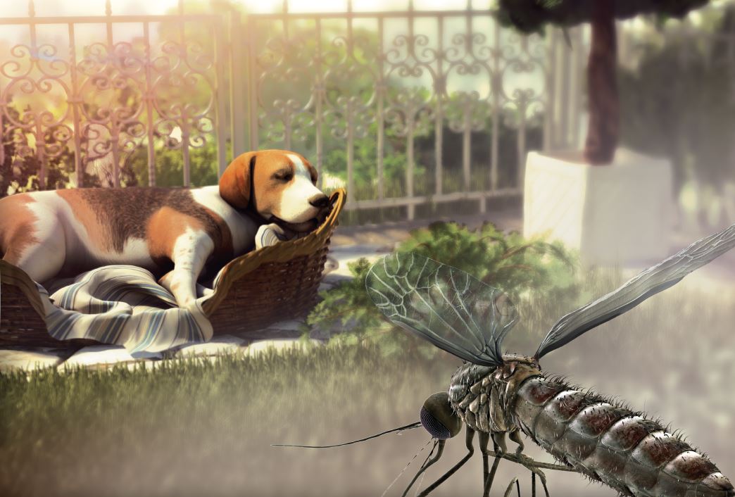 3D Model Dog 3D Model Dog