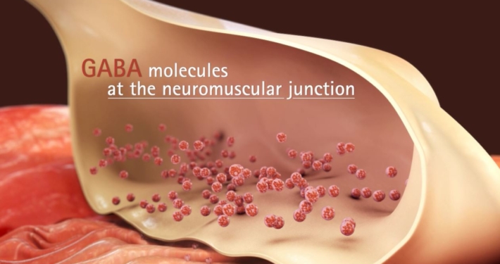 3D Molecular Level 3D Molecular Level