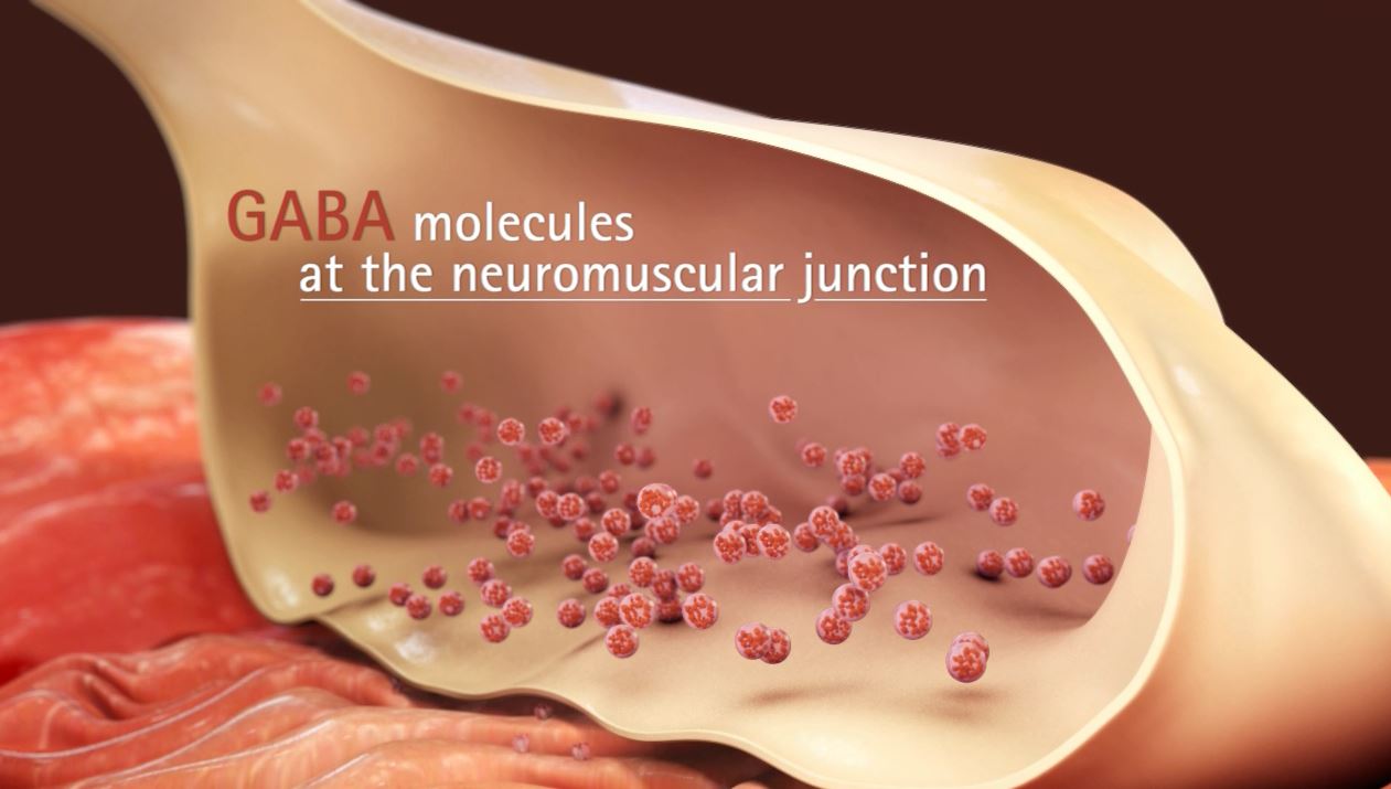 3D Molecular Level 3D Molecular Level