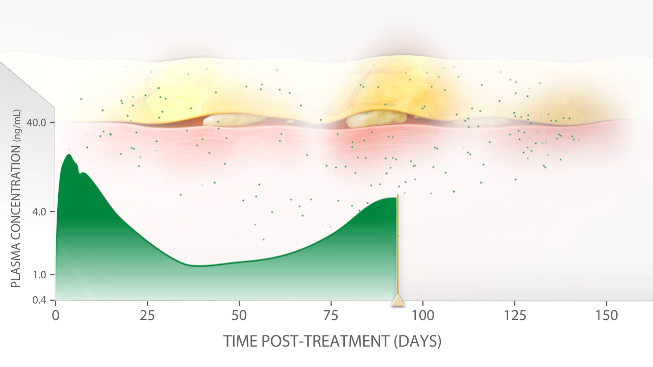 Chart 2D Style Chart 2D Style