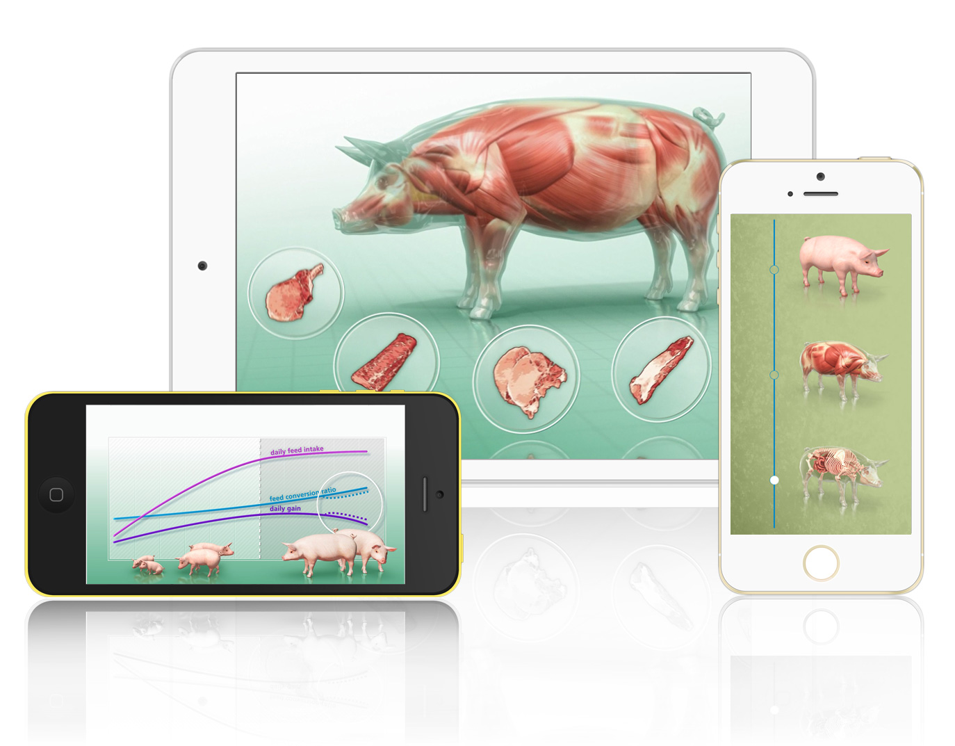 Swine Business Devices Swine Business Devices