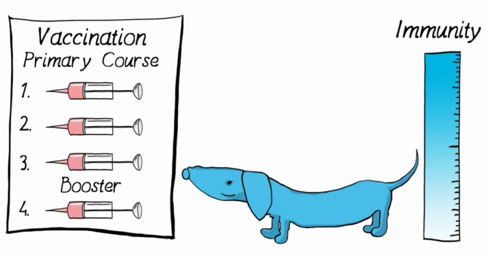 Fast Sketch Story Fast Sketch Story