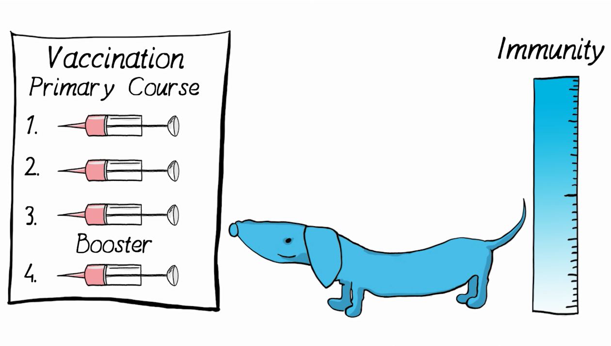 Fast Sketch Story Fast Sketch Story