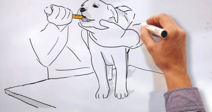 Fast Sketch Style Fast Sketch Style