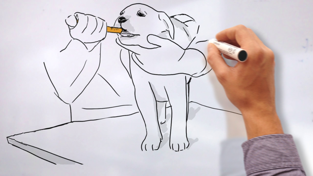 Fast Sketch Style Fast Sketch Style