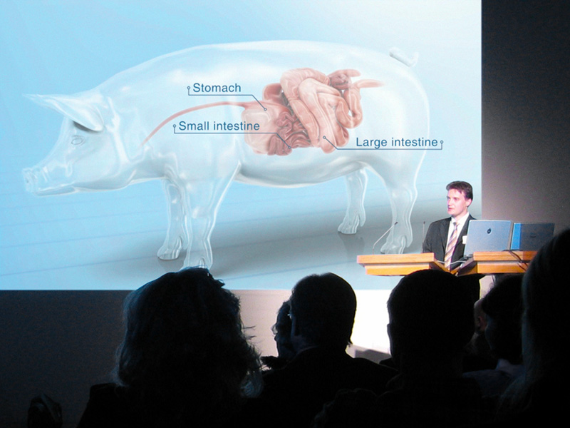 Launch Event Launch Event