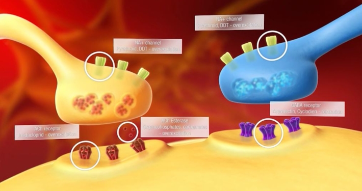 Molecular Level Molecular Level