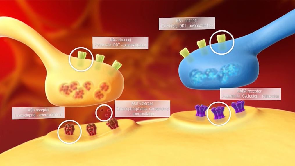 Molecular Level Molecular Level