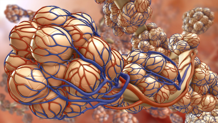 Project Next Generation PAH Drugs Next Generation PAH Drugs