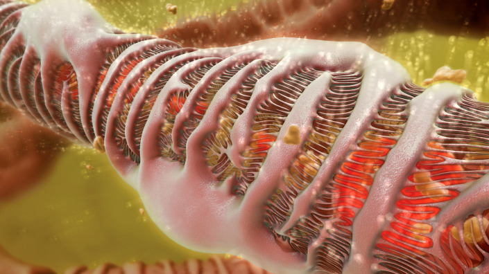 Project Cardiorenal Syndrome Cardiorenal Syndrome