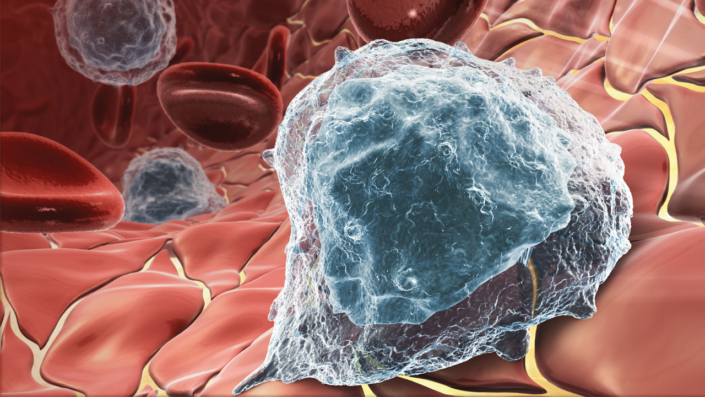 Prostate cancer vaccine