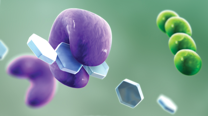 Project Type II Diabetes