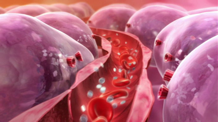Project Insulin Therapy