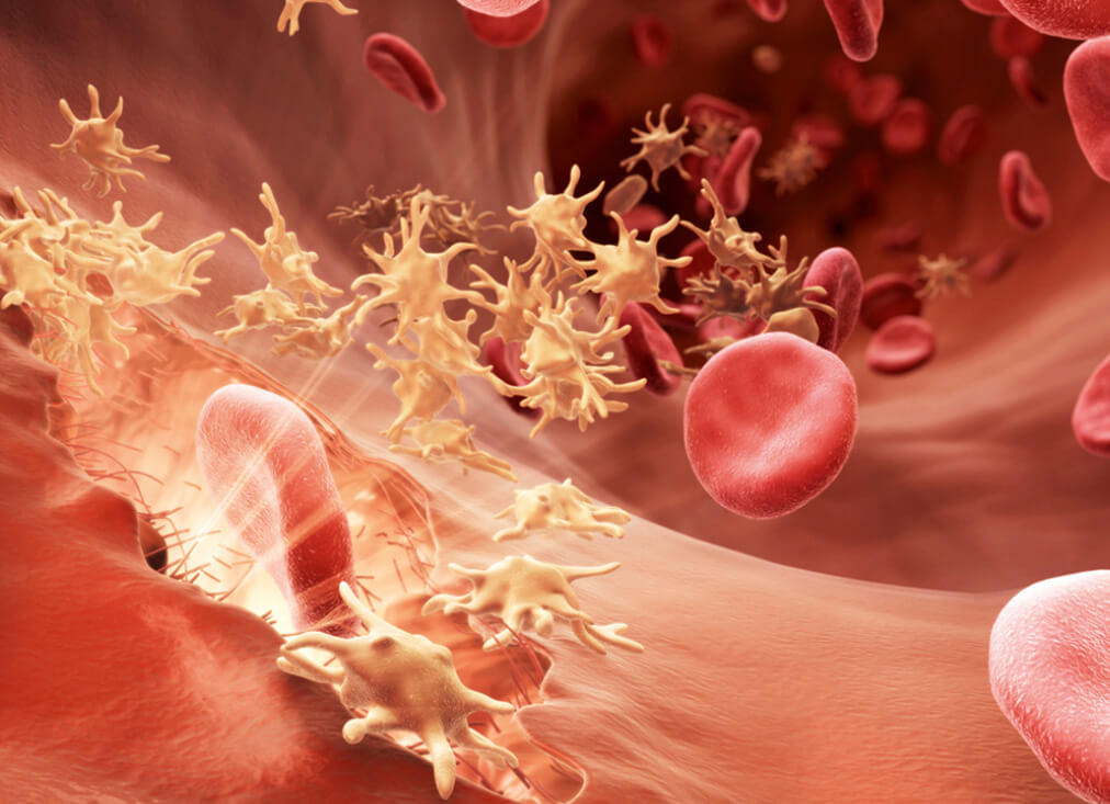 3D Medical Animations: Visualize the invisible – CAST PHARMA 3D Medical Animations: Visualize the invisible – CAST PHARMA
