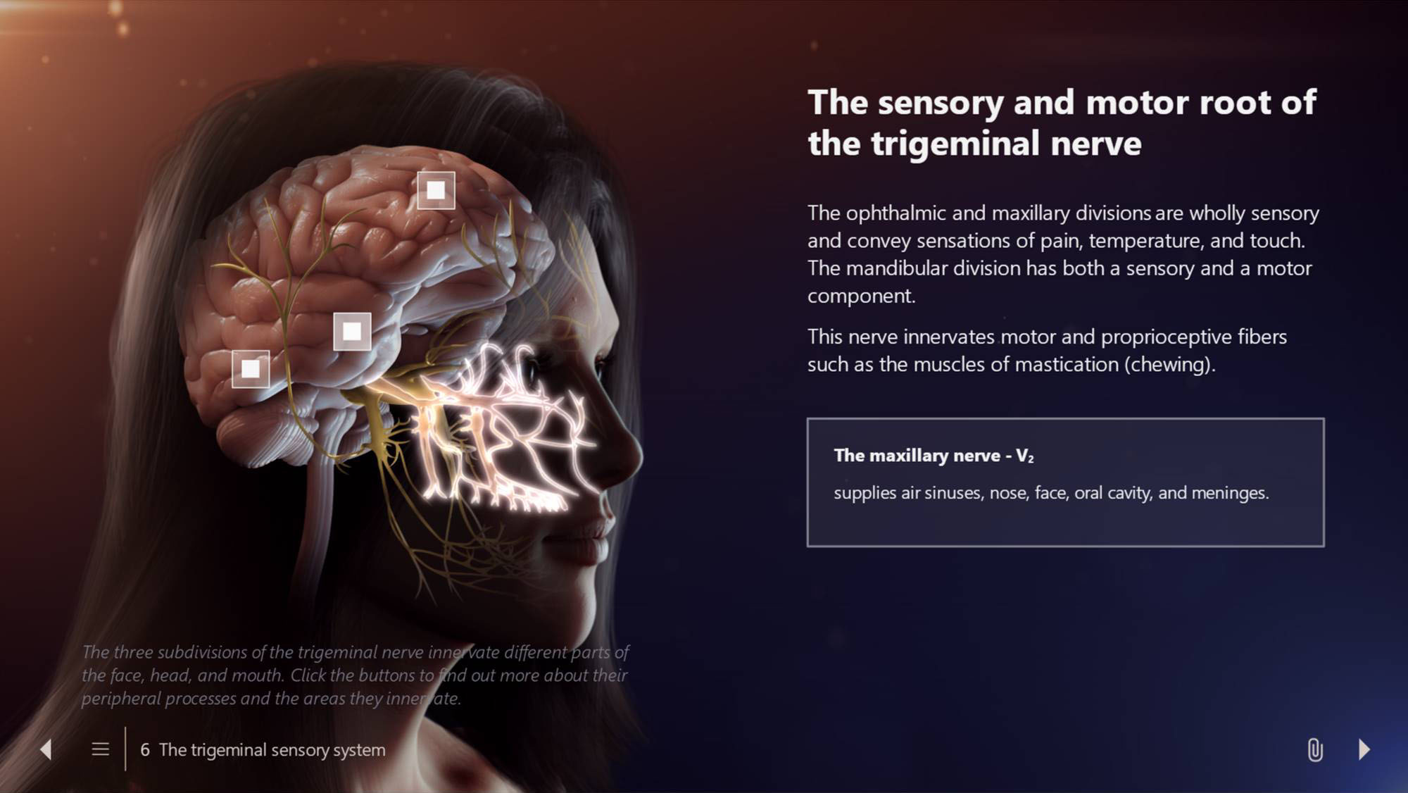Engaging eLearning tools with a fresh editorial design – CAST PHARMA Engaging eLearning tools with a fresh editorial design – CAST PHARMA