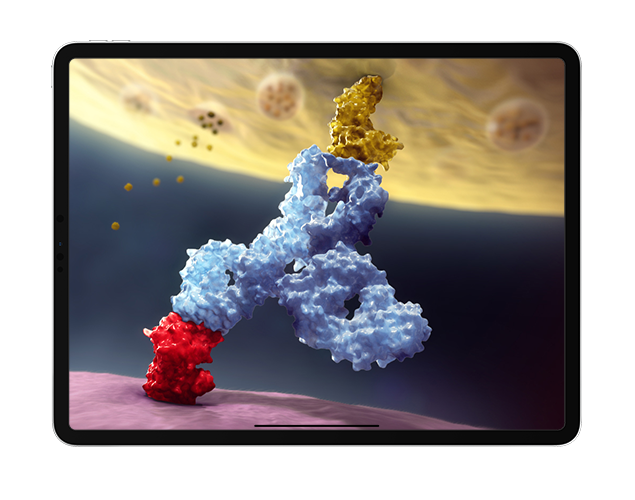 Develop a medical animation video to explain the mechanism of action of a pharmaceutical product – CAST PHARMA Develop a medical animation video to explain the mechanism of action of a pharmaceutical product – CAST PHARMA